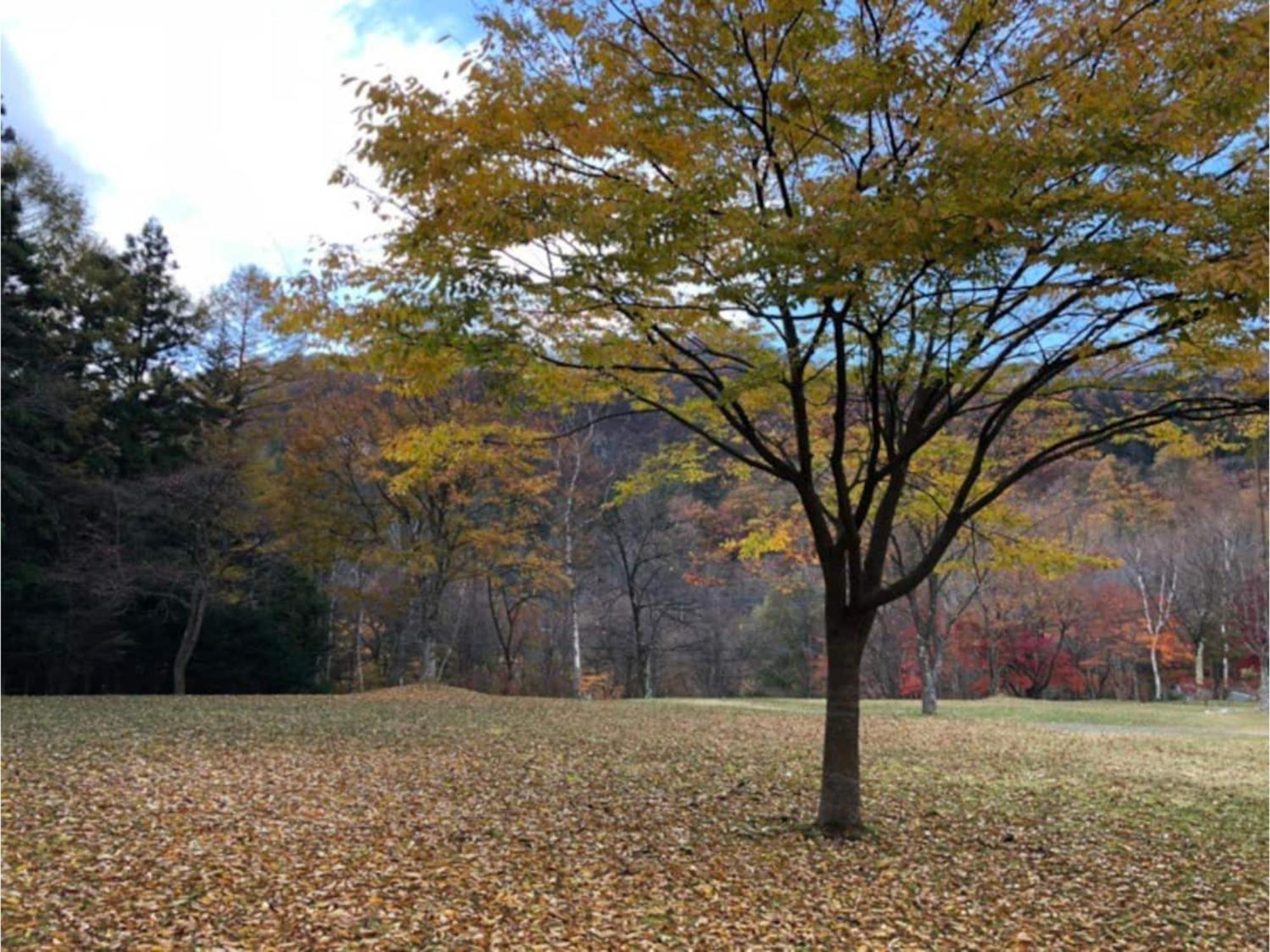 Polar Haus Minamikaruisawa1 - Vacation Stay 88000V Karuizawa Esterno foto